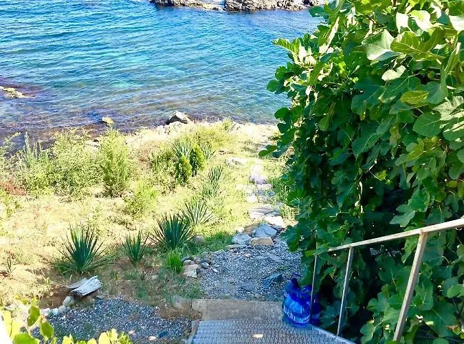 In Apolon Sozopol