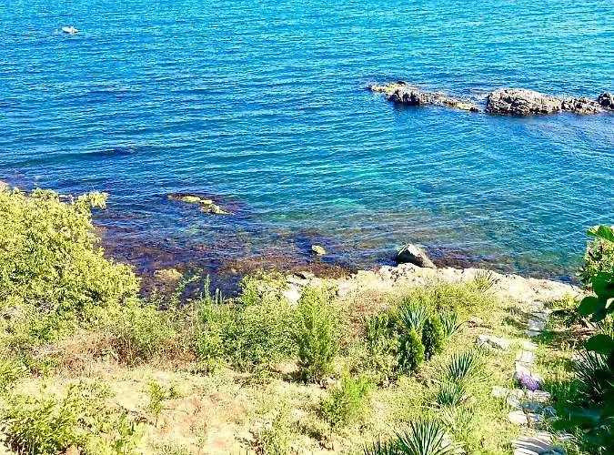 In Apolon Apartamento Sozopol