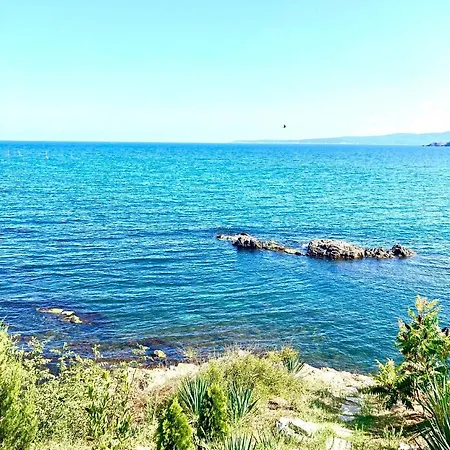 In Apolon Apartament *