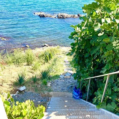 In Apolon Sozopol